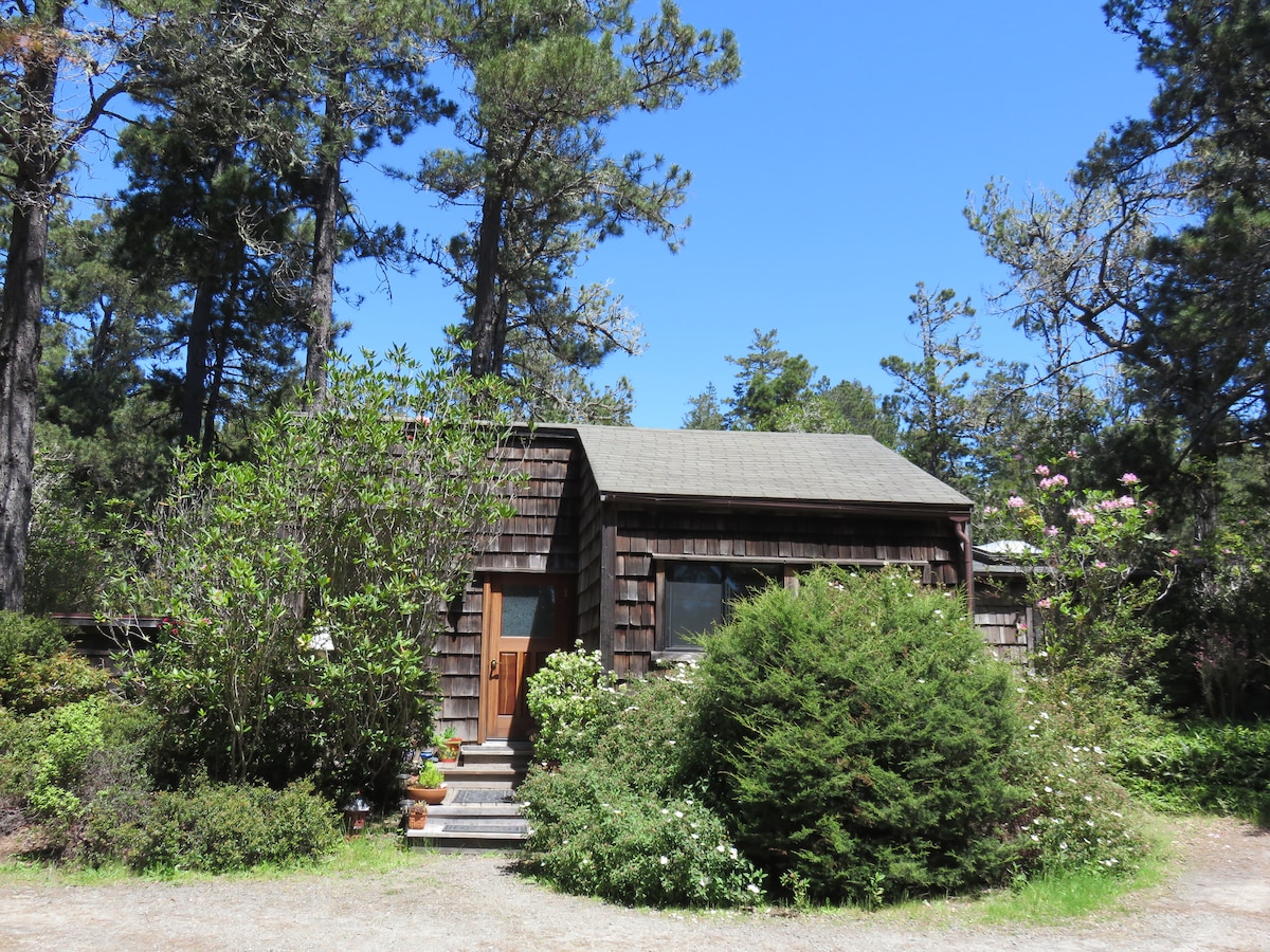 The cottage is nestled among tall trees, featuring a rustic wooden exterior. A welcoming front door is framed by lush greenery and flowering plants, leading to a pathway of steps. Clear blue skies provide a bright backdrop to this serene setting.