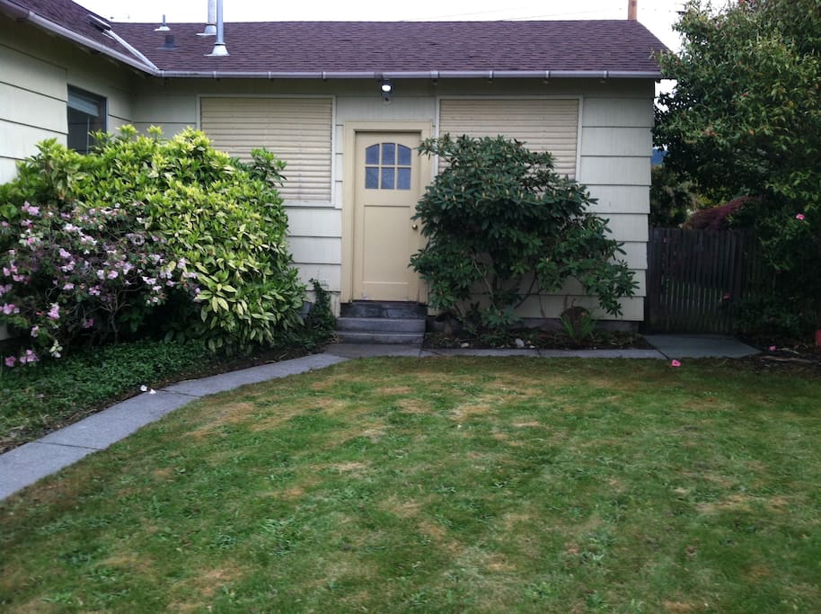 Back yard