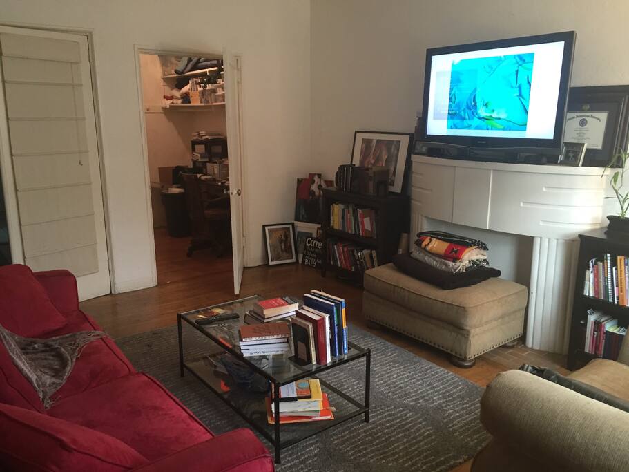 This is basically what you see when you walk in. I have a brown couch now instead of the red one.