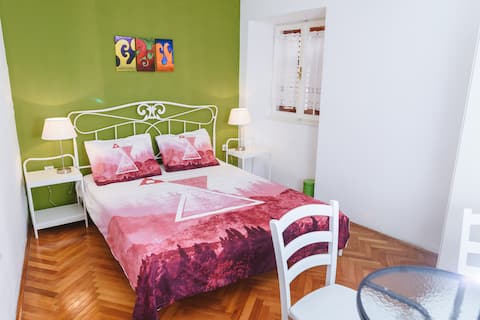 Comfy with a friendly host  - TUDI SLOV. TUR. BONI