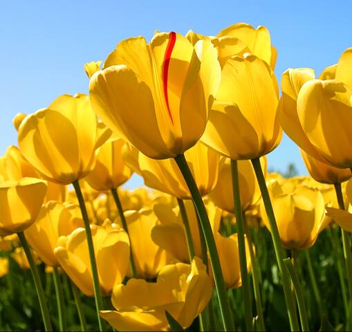 진진하우스  1 ,  JinJin-House  1 ,  서면역 도보 5분