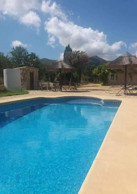 Pool for guests use