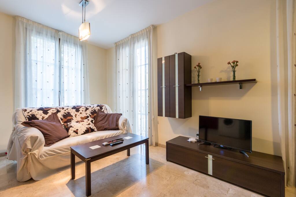 sofa con cama de matrimonio en su interio