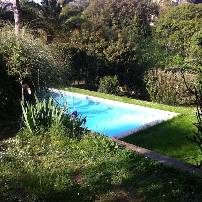 piscine de mai à septembre
