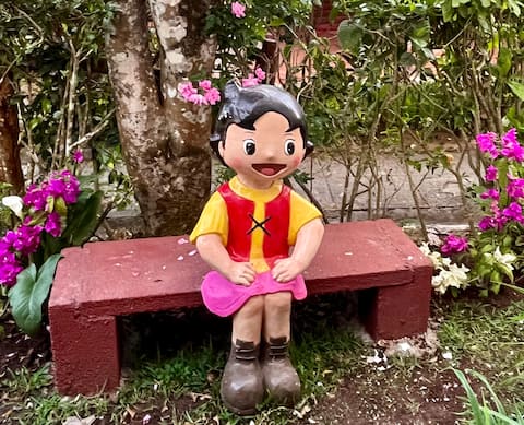 Casa Heidi | Fogata | Pet Friendly