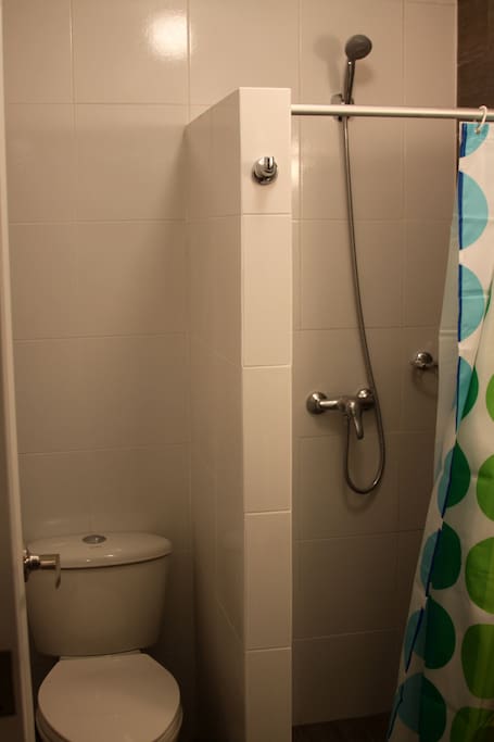 Ducha e inodoro