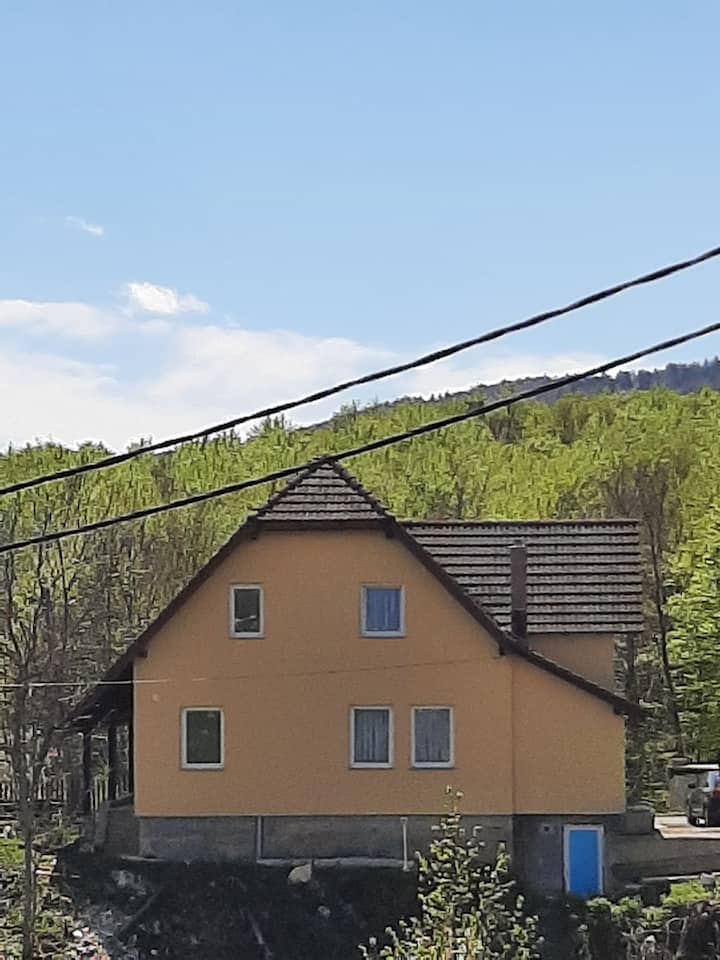 Apartment Zoran