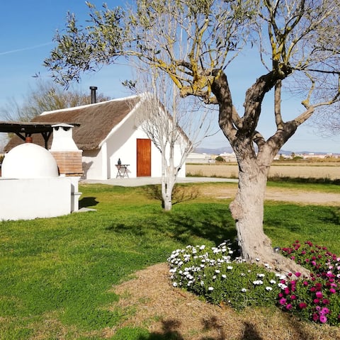 Typical house in Delta del Ebro