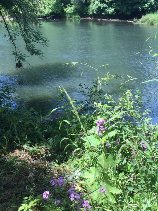 Sun and shade plus swimming hole