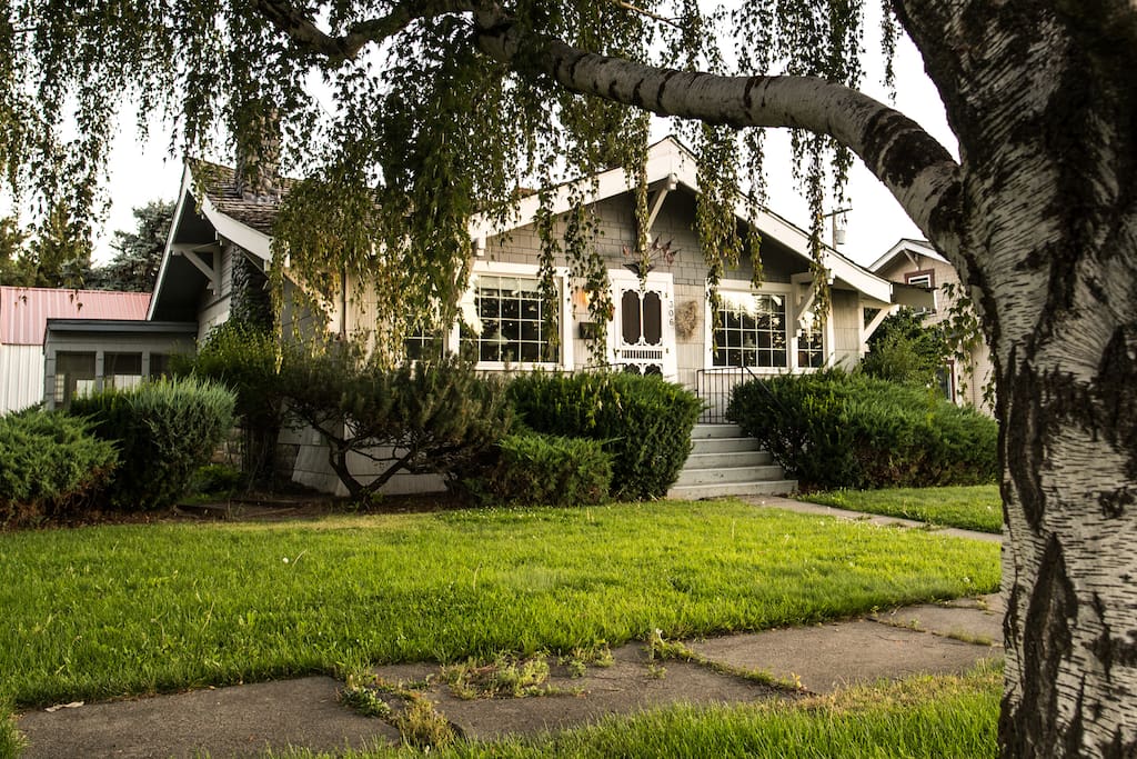 Front with Aspen tree