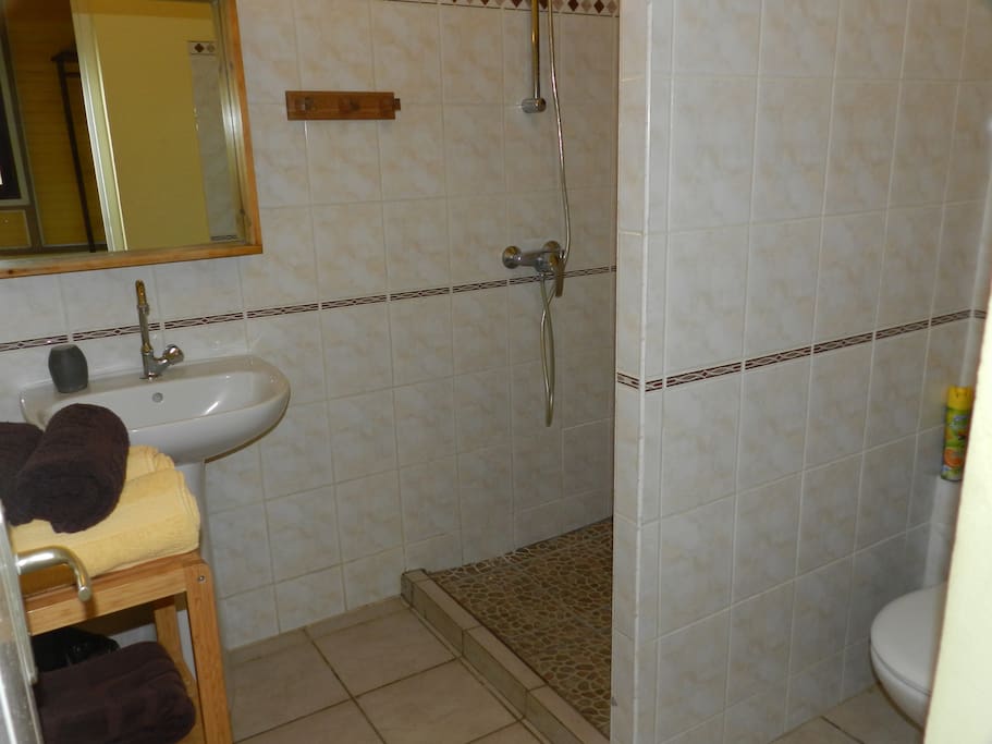 Salle d'eau avec toilettes