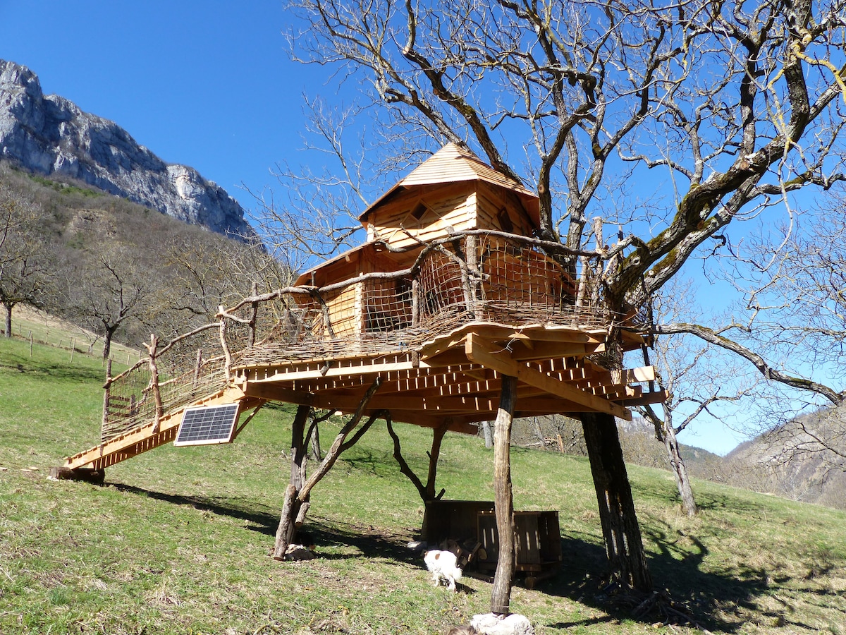 A wooden cabin elevated on stilts rests among trees on a grassy hillside. A woven pathway leads up to the entrance. Solar panels are visible on the structure, complementing its ecological design. Mountains serve as a scenic backdrop under a clear blue sky.