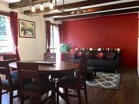 Popular Airbnb listing: Tlalpan, Mexico City - a unique city experience in Calvario Camisetas