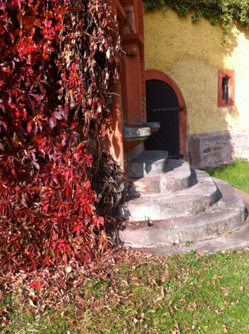Treppe nach draußen