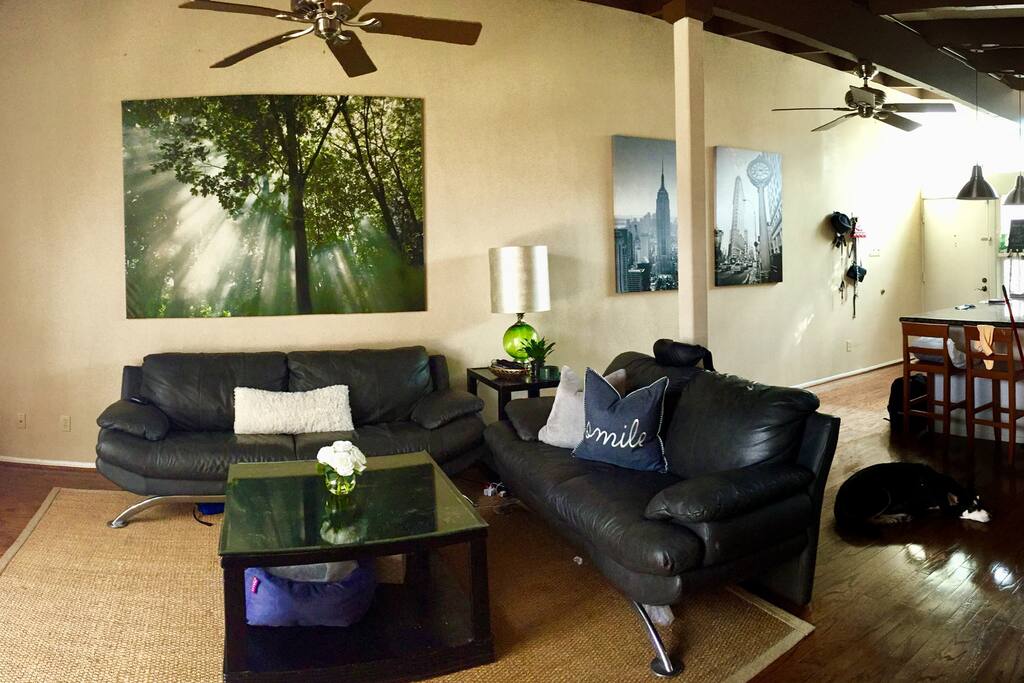 Living Room and Kitchen