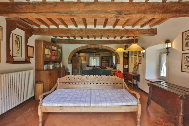 Habitación 7