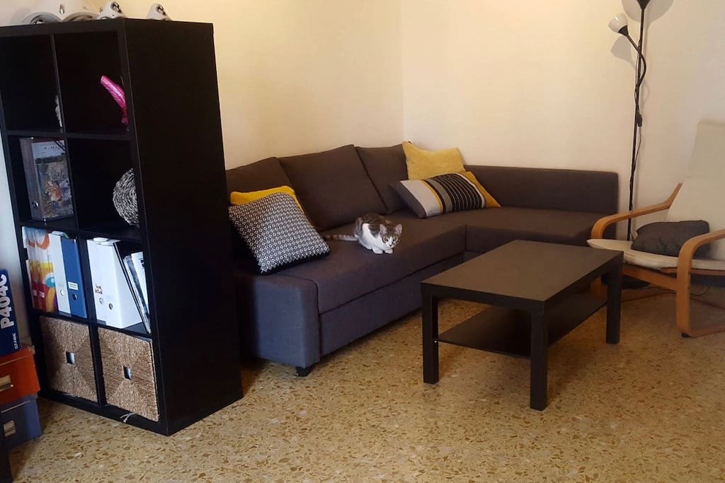 Il divano – the sofa – le canapé – el sofá (+ Tango)