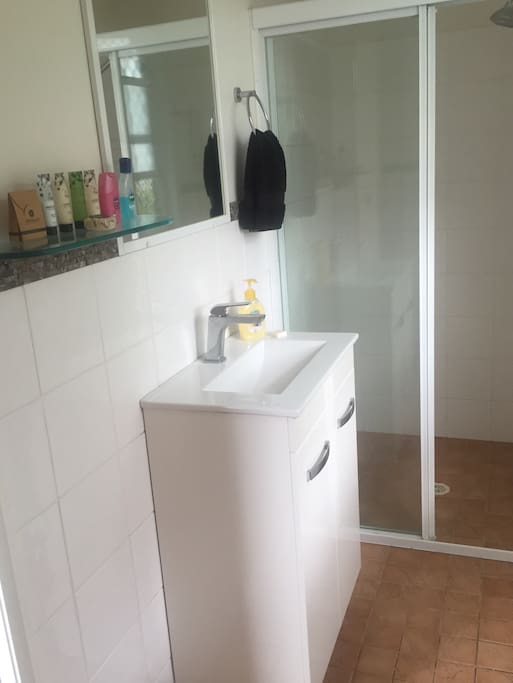 Ensuite with good shower pressure and massaging shower head