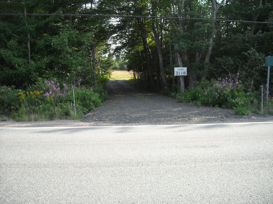 Private laneway into the cottage