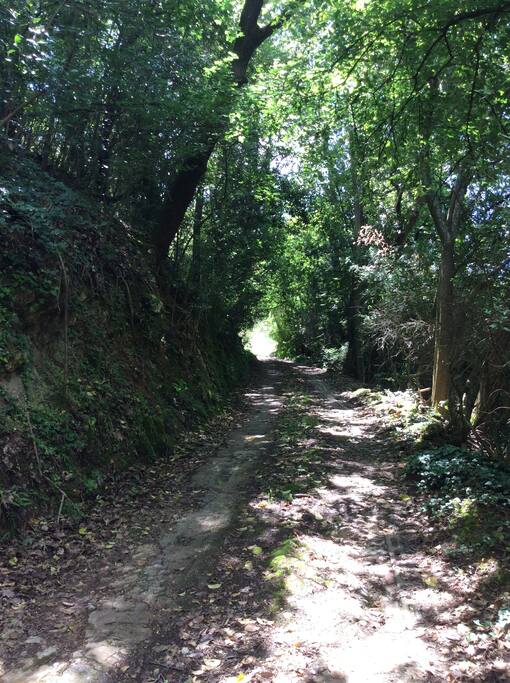 Strada privata di accesso alla casa