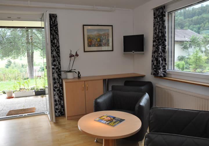 Მისაღები ოთახი ტელევიზორით  გასასვლელი პატიოთი და მე-5 საწოლით ( დასაკეცი საწოლი)