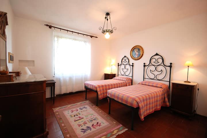 კამერა ფორტეპიანო ტერა