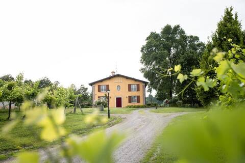 B&B Belvedere Zola Predosa , Villa in the green