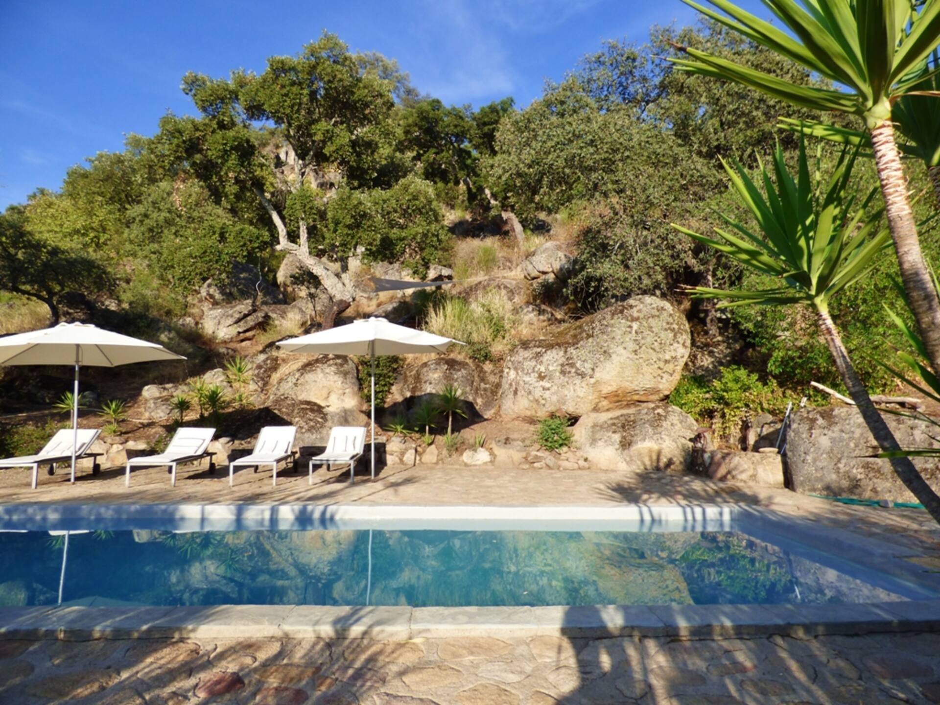 Charming spacious barn with swimming pool in beautiful tranquil scenery — photo 4