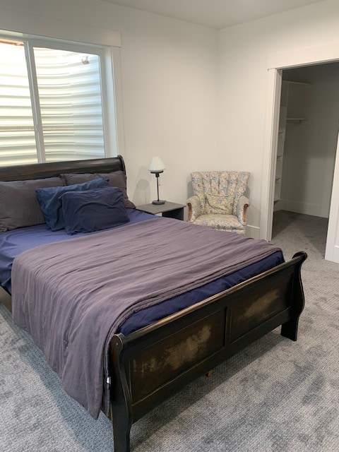 Cozy Modern