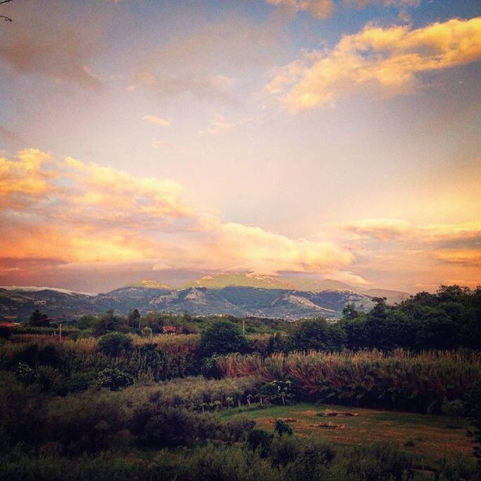 View from the balcony
