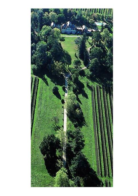 Vue aérienne