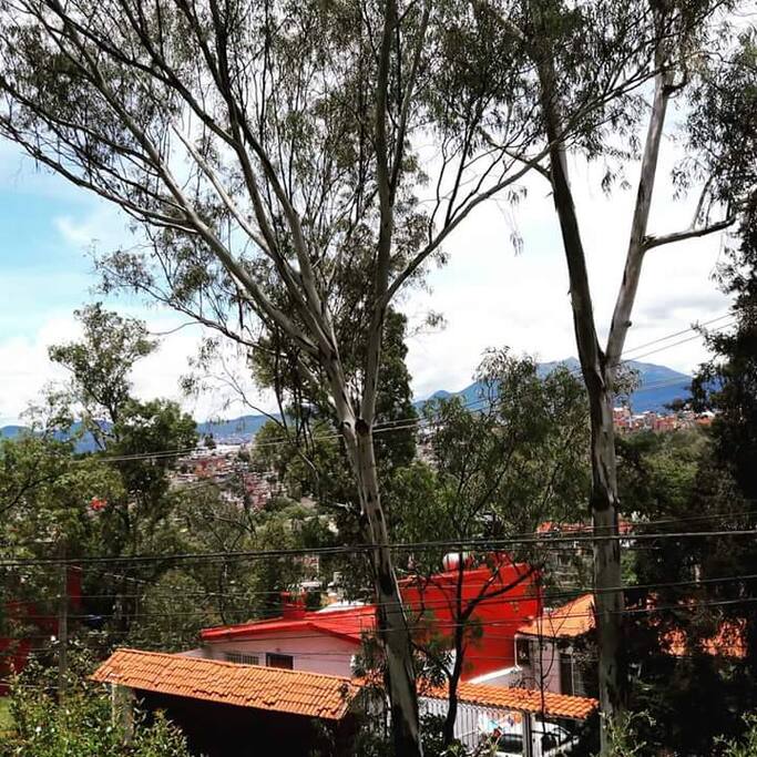 Las vistas desde la habitación son hacia la ciudad y los volcanes.