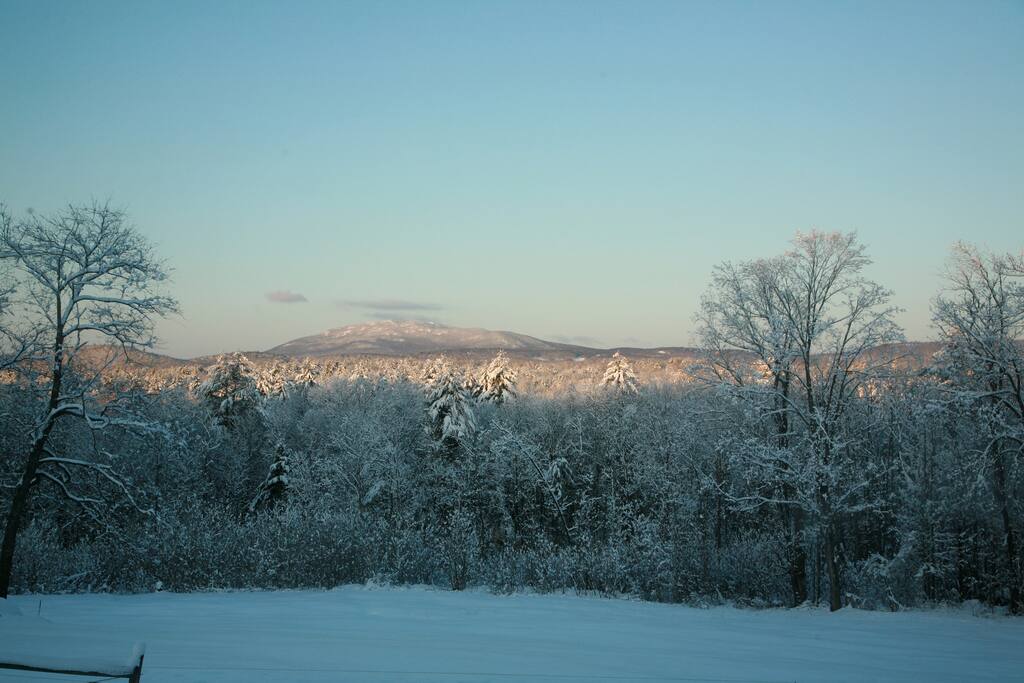 Fresh snowfall at dawn