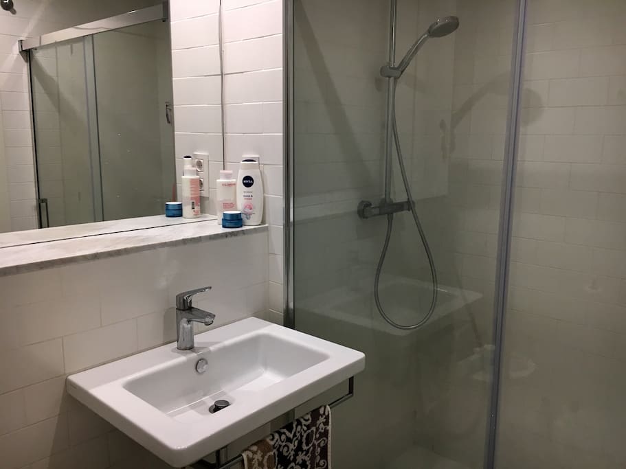 Shared bathroom with enormous shower!