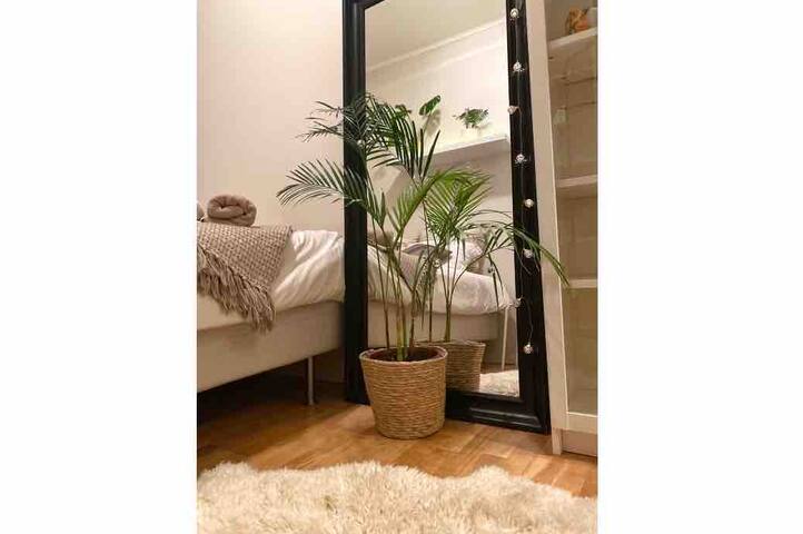 Very cosy apartment close to everything!