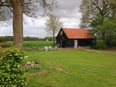 Peace and space in Dwingeloo