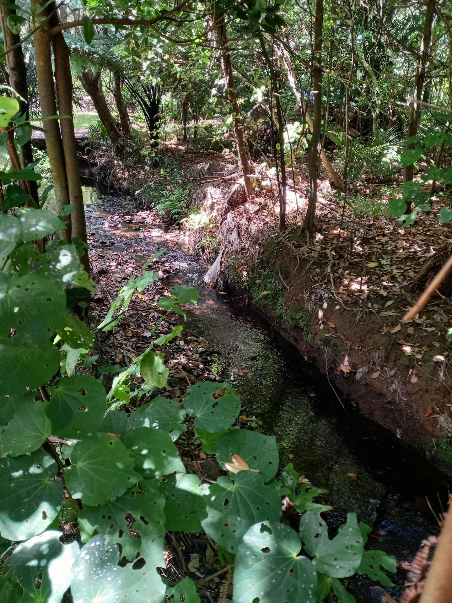 Tranquil Karekare Valley Home 2