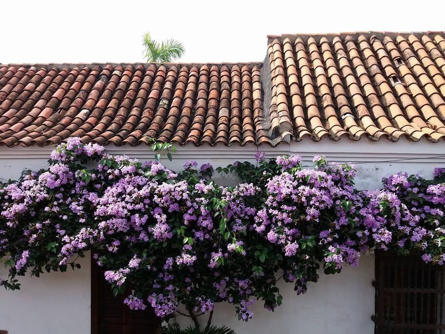 Vista desde nuestro balcón a una de las calles mas bonitas del centro histórico de la ciudad