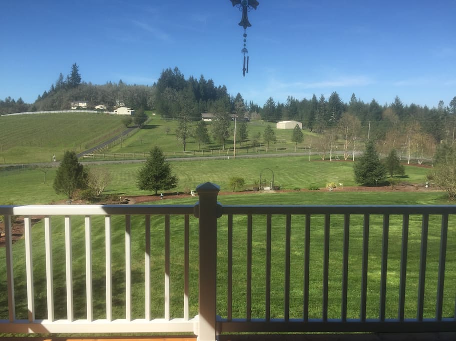 View from the front porch to a gorgeous vineyard just across the street.