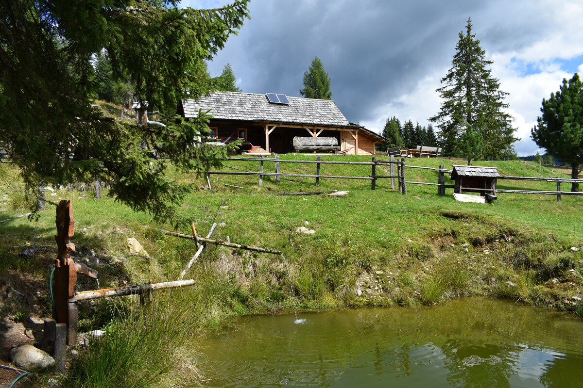 The alpine hut is set amidst lush greenery, with a wooden exterior complemented by a sloped roof and solar panels. A tranquil pond mirrors the sky, while wooden fencing surrounds the property, enhancing the rural landscape.