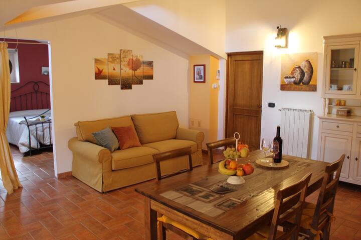 საცხოვრებელი ფართი 