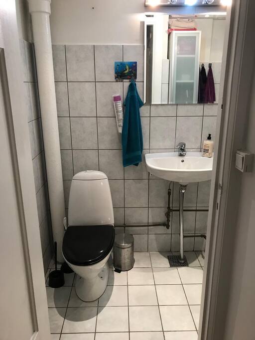Bathroom - with shower and washing machine (to the right of the sink).