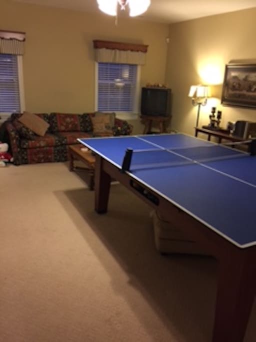 Ping Pong and Couch /TV