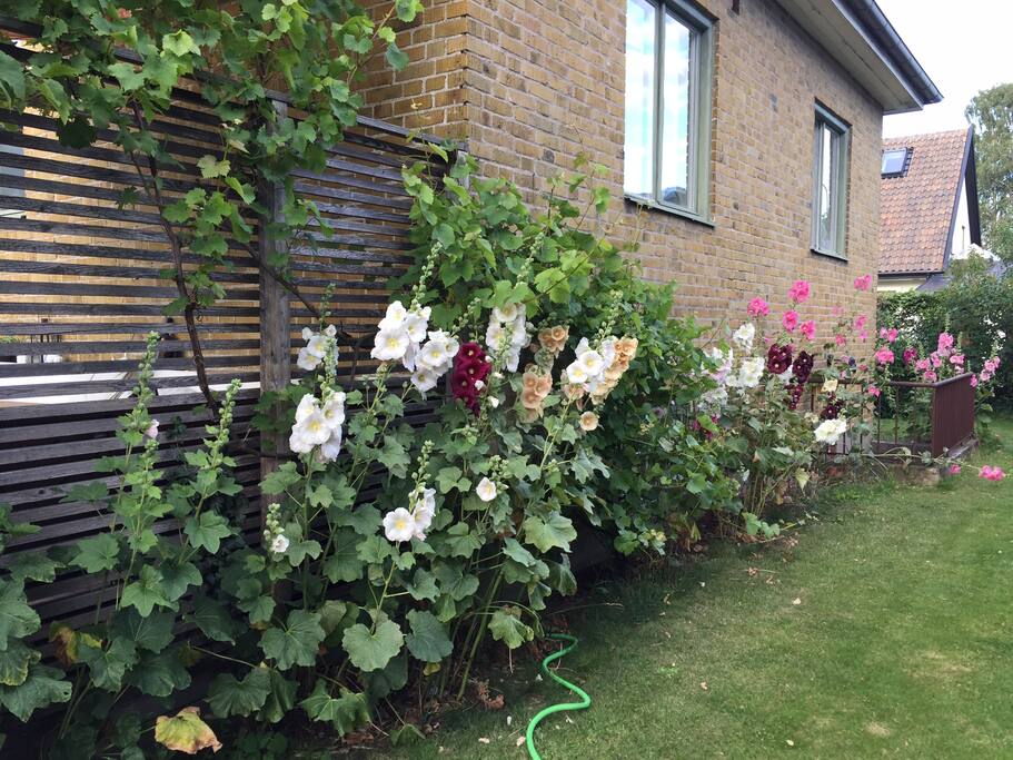 The house was built in 1937 but is renovated and fully equipped. There are lots of beautiful flowers to enjoy and a greenhouse. Parking for two cars is available and bicycle to borrow on request