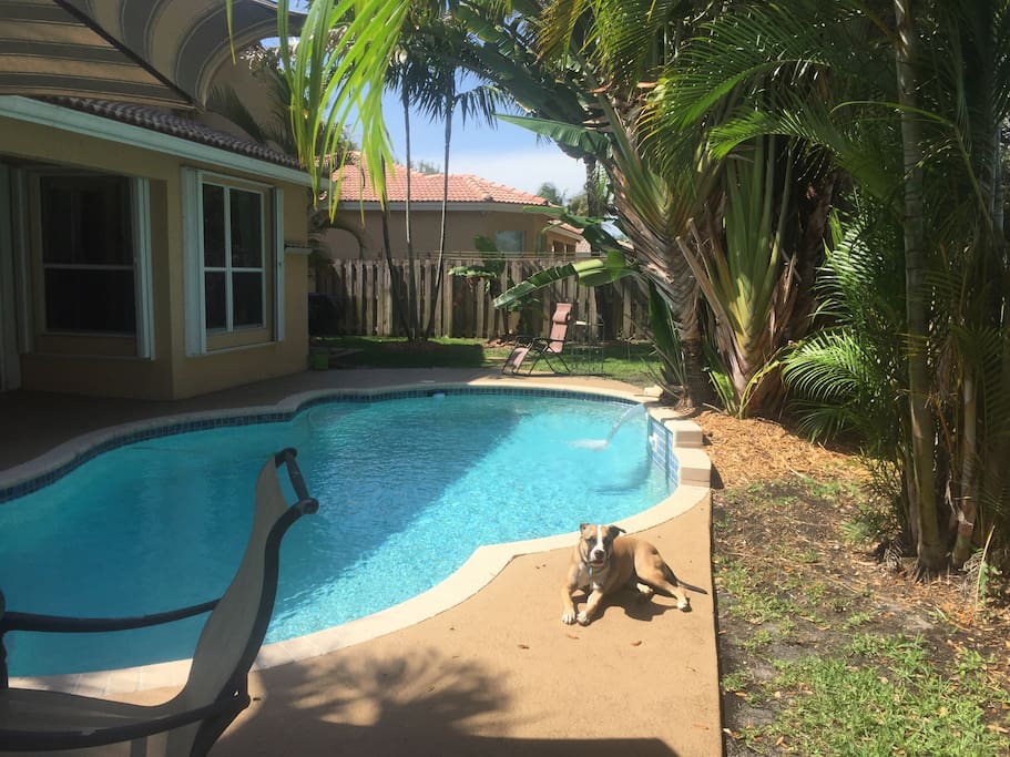 Find your perfect spot in the backyard to enjoy fabulous sunny SoFlo.