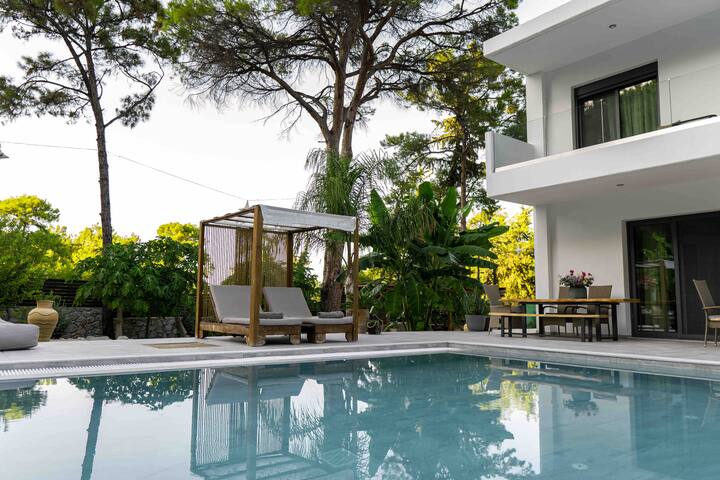 Dasýlio – earthy living rho gallery image 5