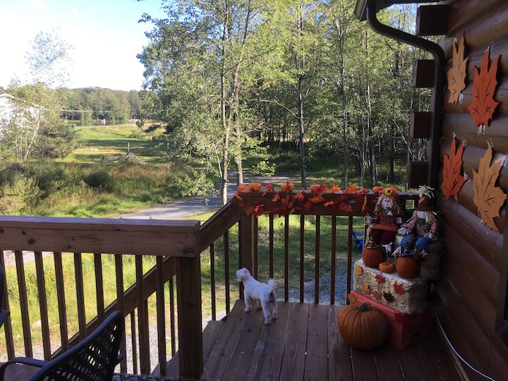 Arrowhead Lakes Log Cabin Jack Frost,Kalahari Cabins for Rent in