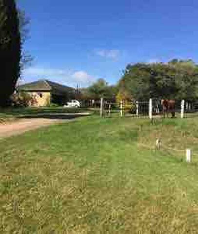 Wally and Mary on the strzelecki