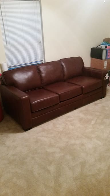 pull-out couch