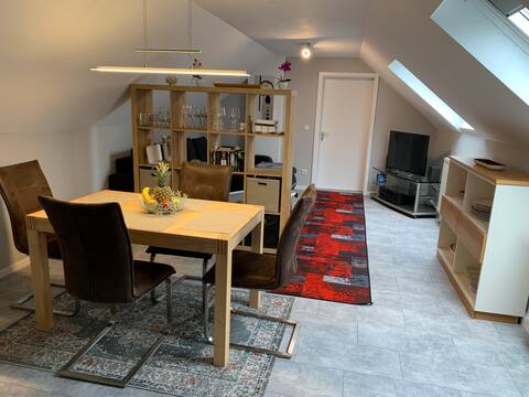 modern vacation rental*in the countryside *Saarbrücken-West